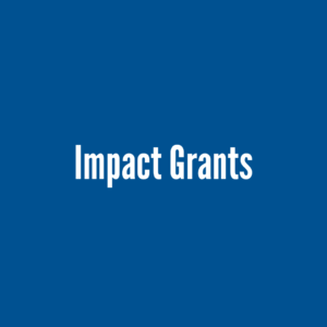What We Do Impact Grants