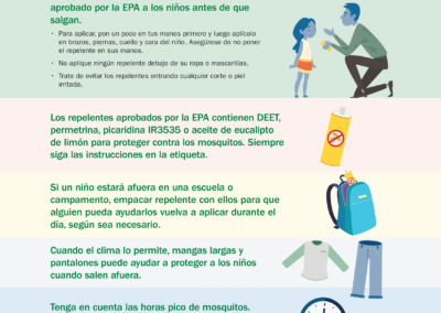 Mosquito Safety - Spanish Translation