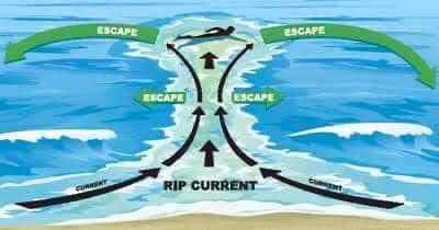 Rip current safety graphic
